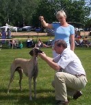 Jahresausstellungssieger 2001