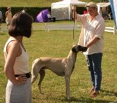 Landessieger Sachsen 2002