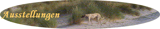 Ausstellungen
