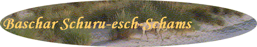 Baschar Schuru-esch-Schams
