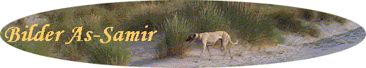 Bilder As-Samir