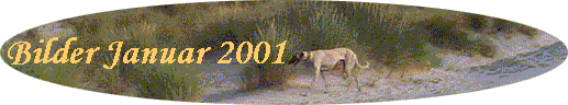 Bilder Januar 2001