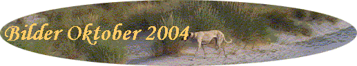 Bilder Oktober 2004