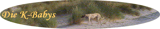 Die K-Babys