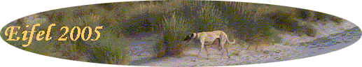 Eifel 2005