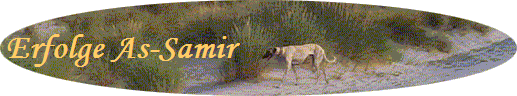 Erfolge As-Samir