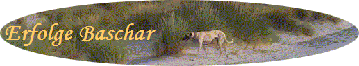 Erfolge Baschar