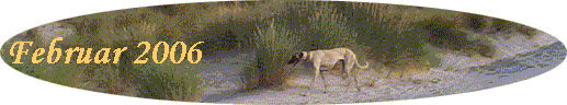 Februar 2006