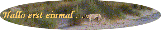 Hallo erst einmal . . .