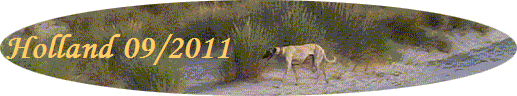 Holland 09/2011