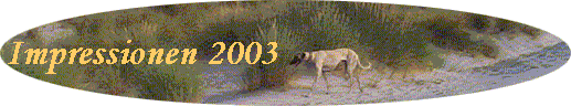 Impressionen 2003