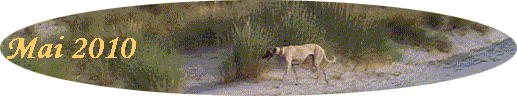 Mai 2010