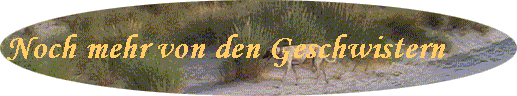 Noch mehr von den Geschwistern