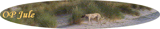 OP Jule