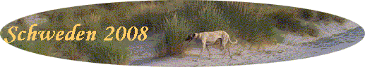 Schweden 2008