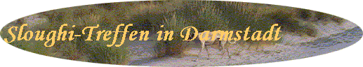 Sloughi-Treffen in Darmstadt
