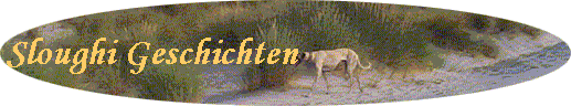Sloughi Geschichten