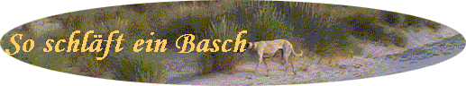 So schlft ein Basch 
