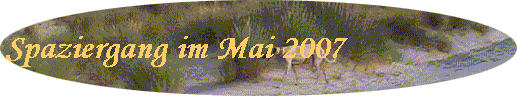 Spaziergang im Mai 2007