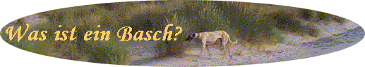 Was ist ein Basch?