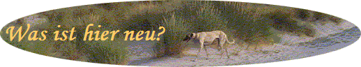 Was ist hier neu?